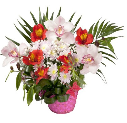 basket of red alstromerias and white orchids
