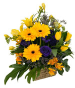 basket with yellow gerberas and tulips