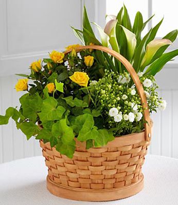 blooming basket