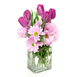 pink tulips and gerberas