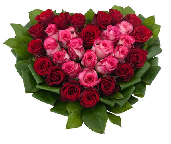 eFlowersDelivery in italy allows you to send and deliver Flowers 