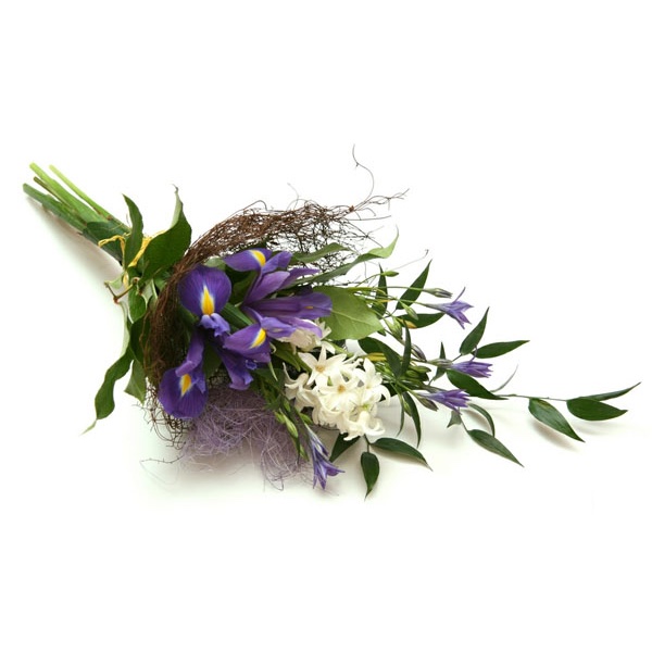 iris blue and white flowers
