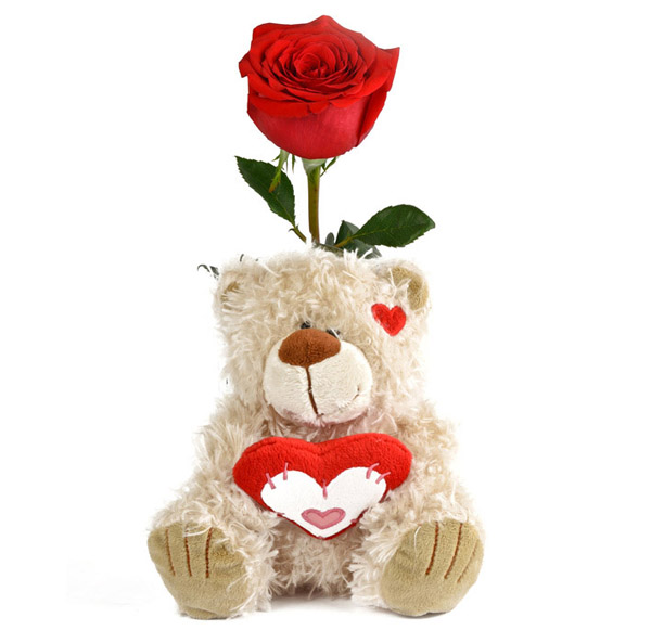 red rose and teddy bear